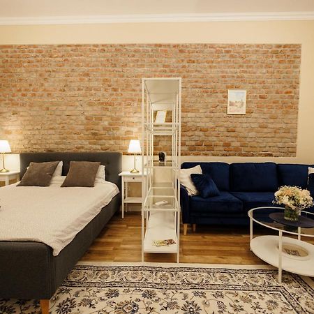 Jolie Flat In The Heart Of The City Тимишоара Екстериор снимка