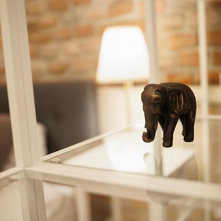 Jolie Flat In The Heart Of The City Тимишоара Екстериор снимка