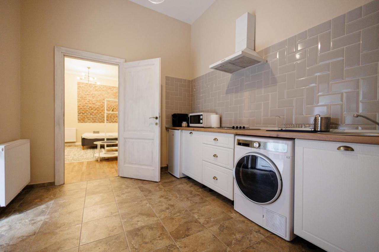 Jolie Flat In The Heart Of The City Тимишоара Екстериор снимка
