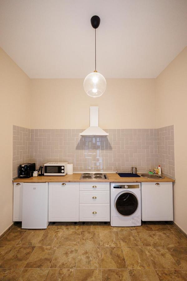 Jolie Flat In The Heart Of The City Тимишоара Екстериор снимка