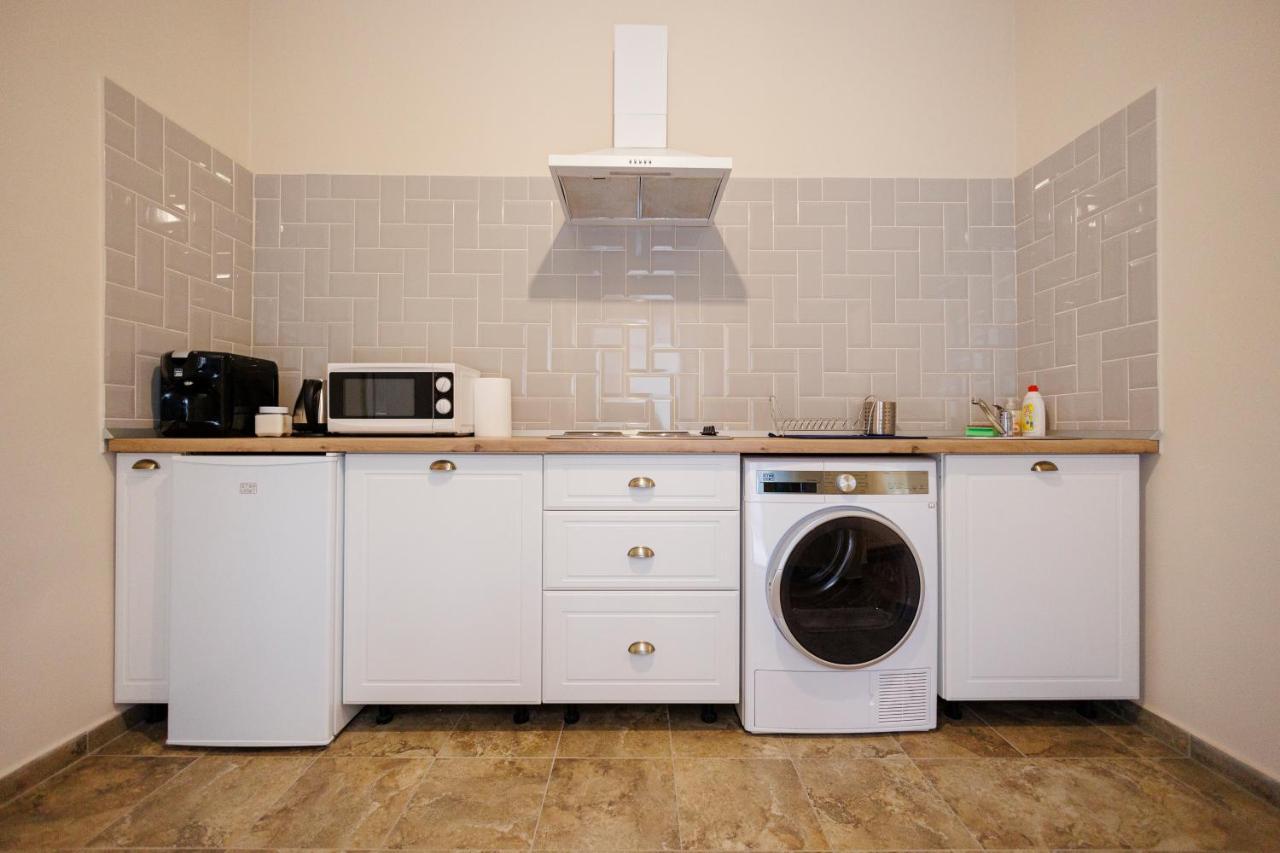 Jolie Flat In The Heart Of The City Тимишоара Екстериор снимка