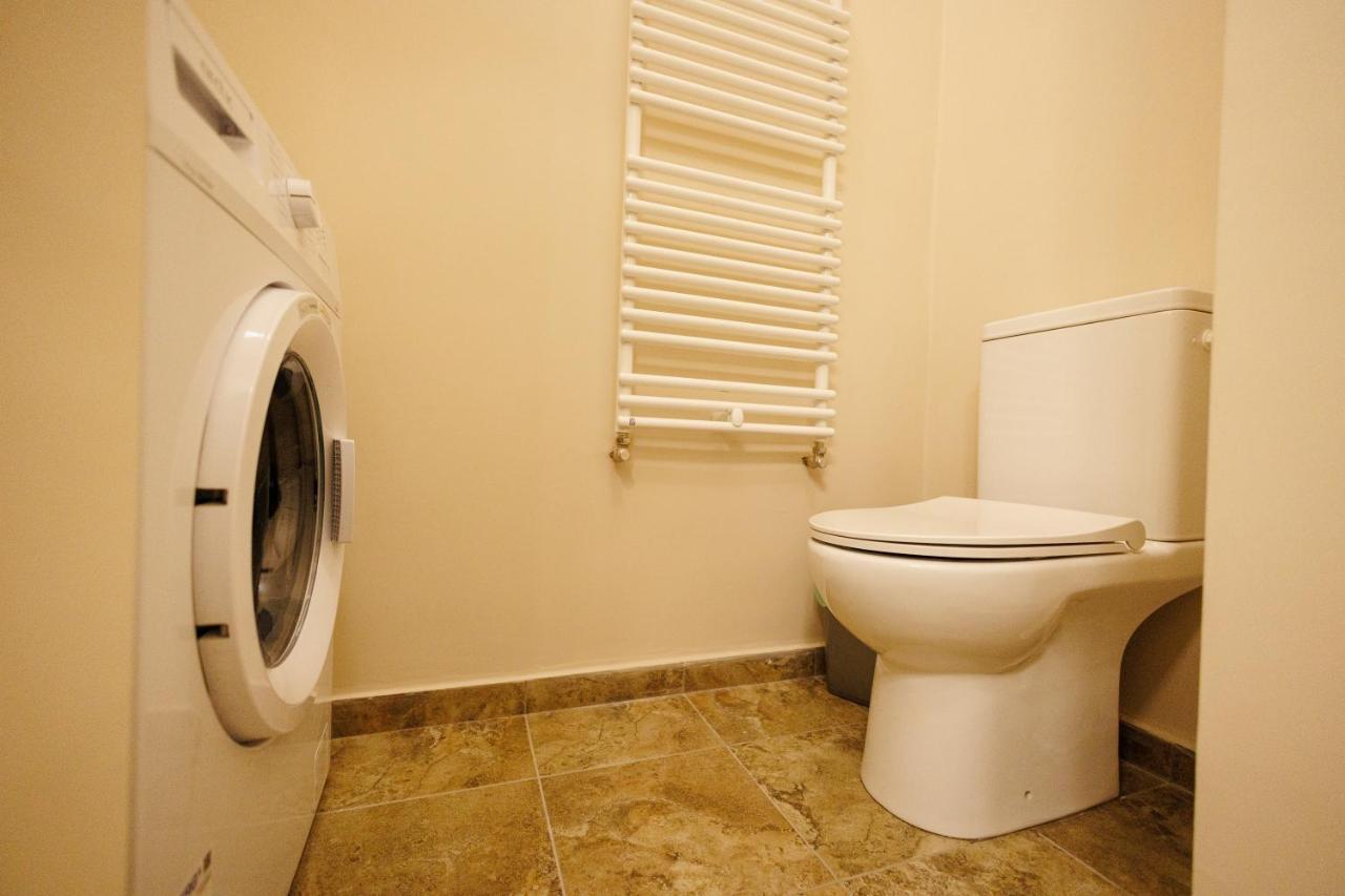 Jolie Flat In The Heart Of The City Тимишоара Екстериор снимка